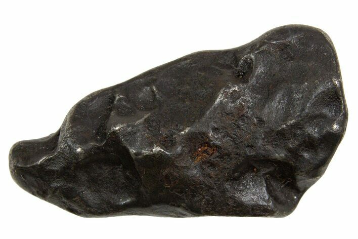 Fusion Crusted Sikhote-Alin Iron Meteorite ( g) - Russia #334593